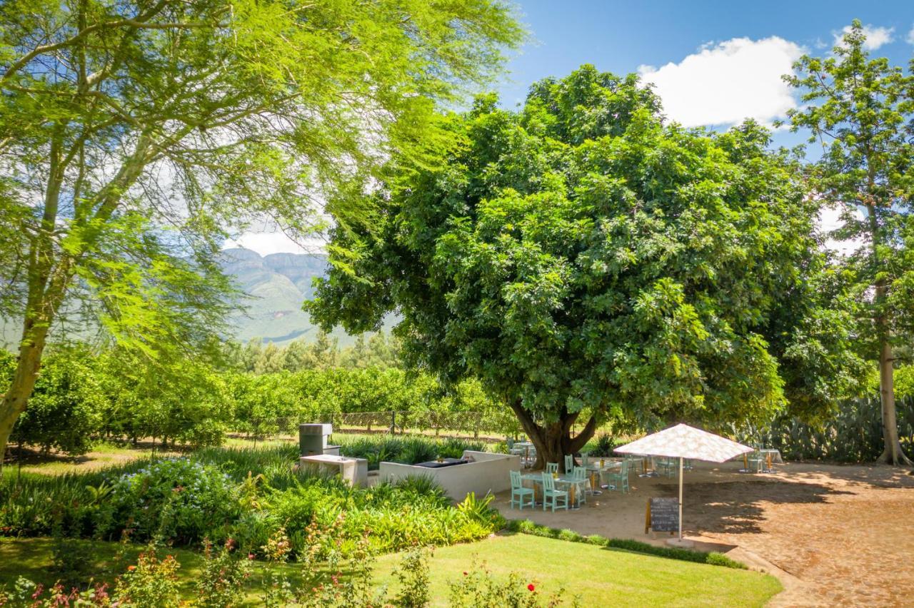 Francines Venue Pty Ltd Bed & Breakfast Hoedspruit Exterior foto